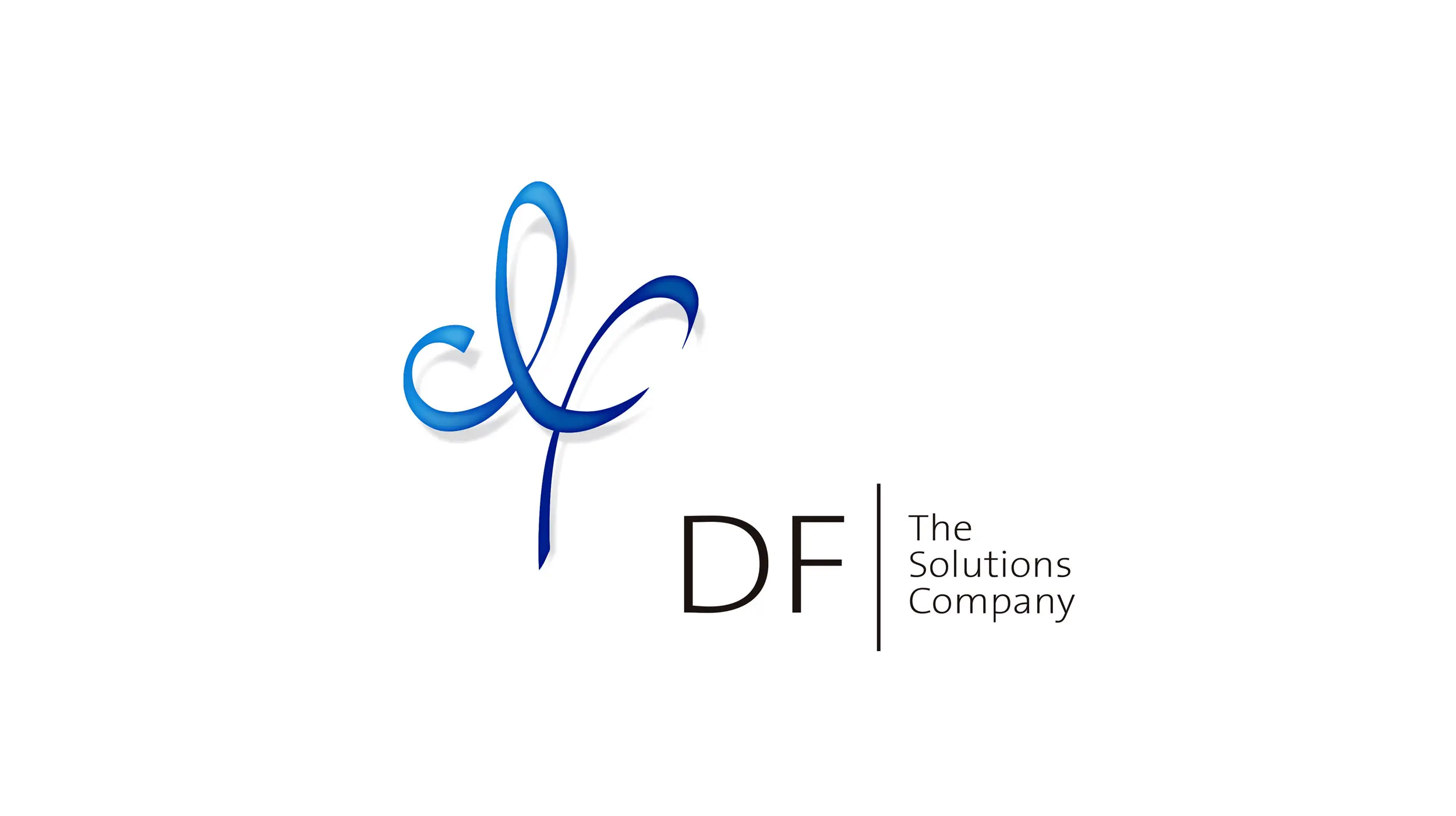 Logo DF The Solutions Company